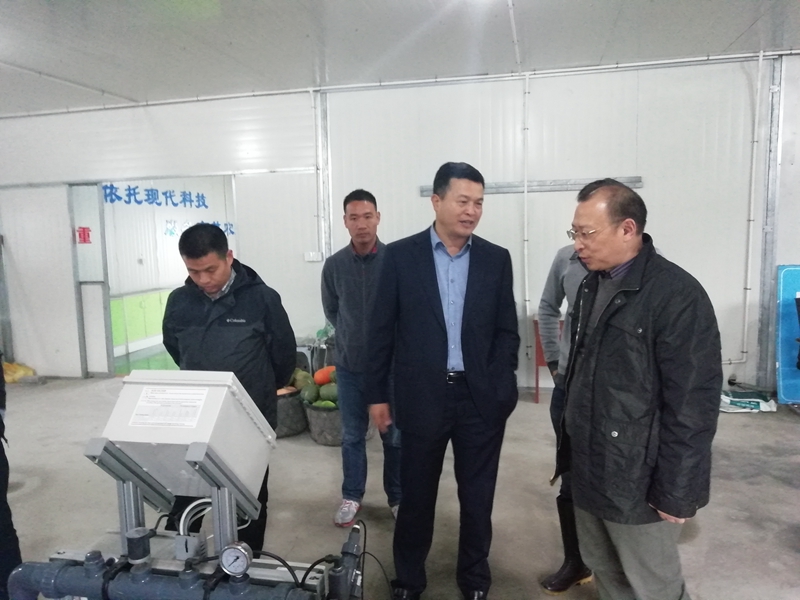 中國農資流通協(xié)會秘書長符純華調研瓶窯基地