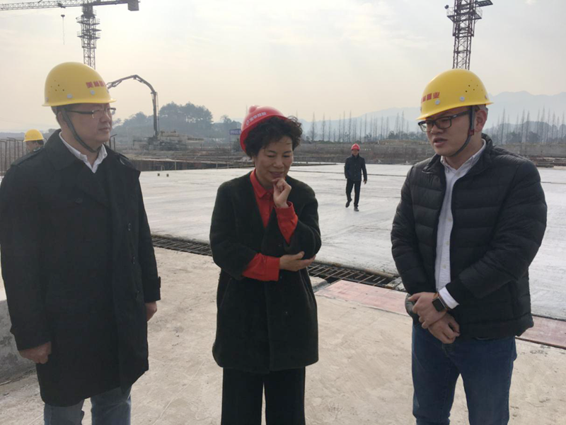 麗水市委常委、宣傳部長任淑女調(diào)研松陽美林·南城壹號項目