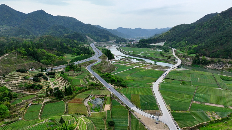 浙農(nóng)浙貝母、杭白菊基地通過中藥材GAP延伸檢查